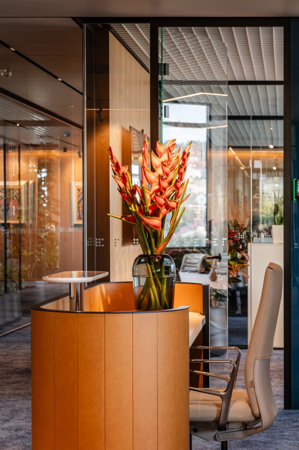 WMC új irodája - Az egészség szolgálatában