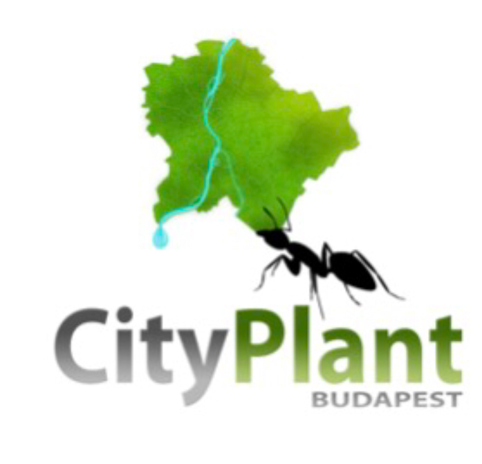 Cityplant növénydekoráció
